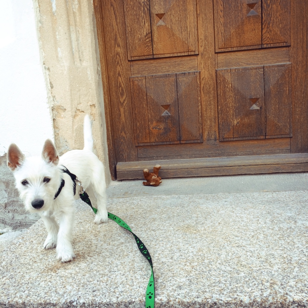 Lola vor der Tür